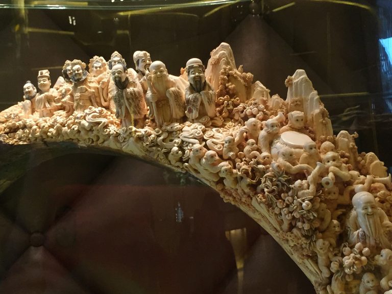 The Ivory Trade: What You Need To Know