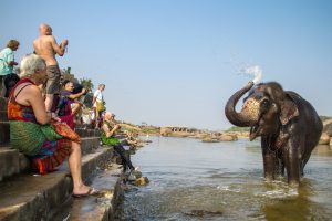 Tourists watching an indian elephant
