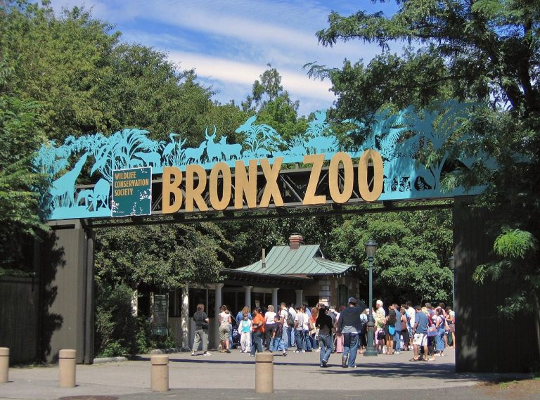10 Elephant-Free Zoos And Why That’s A Good Trend