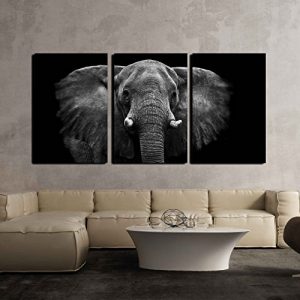 Elephant 3-Panel Canvas Wall Art: Gifts for elephant lovers