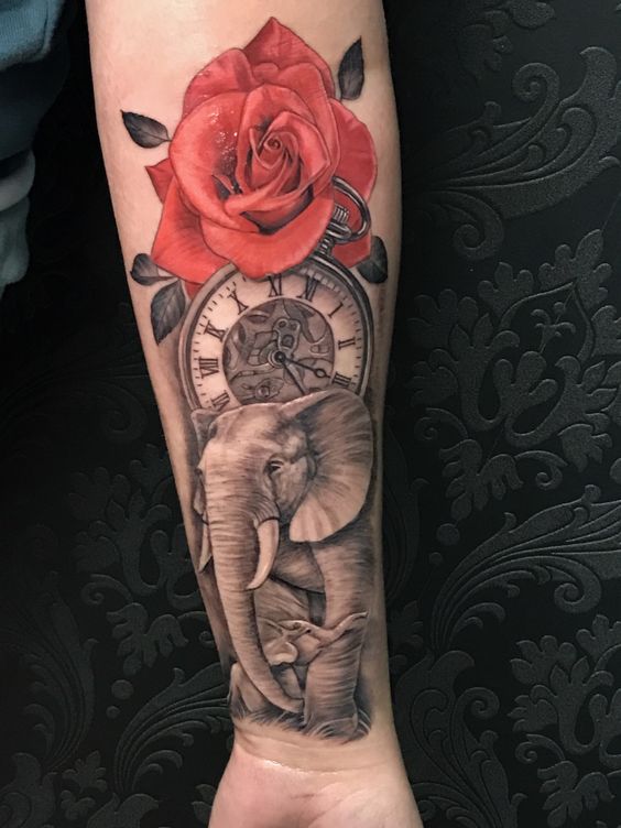 Elephant Tattoo Ideas: 25 Stunning Designs You’ll Love