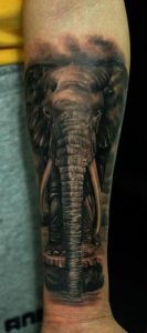 elephant tattoo